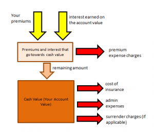 indexed universal life insurance