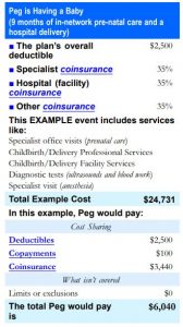 Pre and Post Hospitalisation under Maternity Insurance