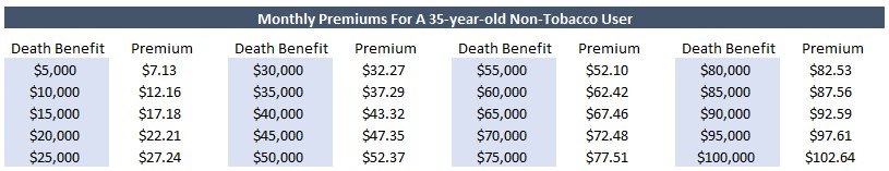 (Almost) Guaranteed Issue Life Insurance Up To $100k [Quick Application]