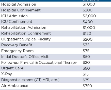 Online Insurance Payout Chart