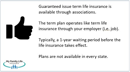 to give an overview of the guaranteed issue term life insurance